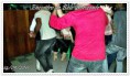 /album/galeria-de-fotos/encontro-de-bh-editadasogaaaaetpn-3takuxa4d-i1w1krilphmndfimw4osonb1x1czxjxz10v-q9rdrg3rdjy96vx74j54-jsgk8cp0exb8am1t1uhpimrf6guv-xfn1jvwwe-38tgkq-jpg/